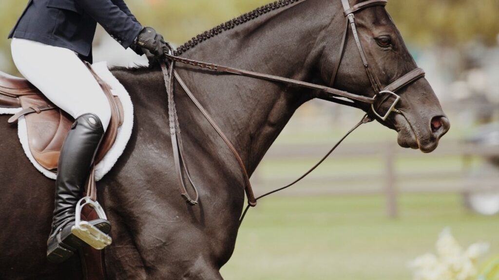 Horse Racing 