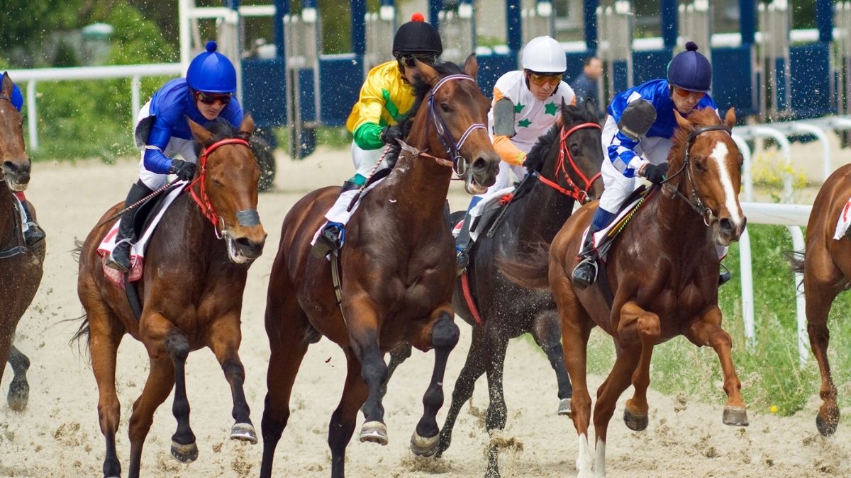 horse racing
