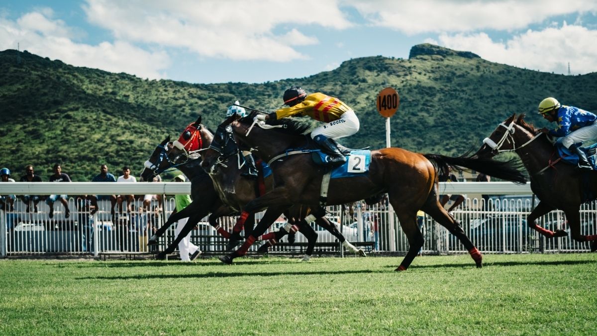 horse racin g