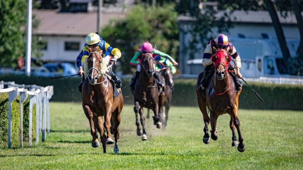 horse racing 