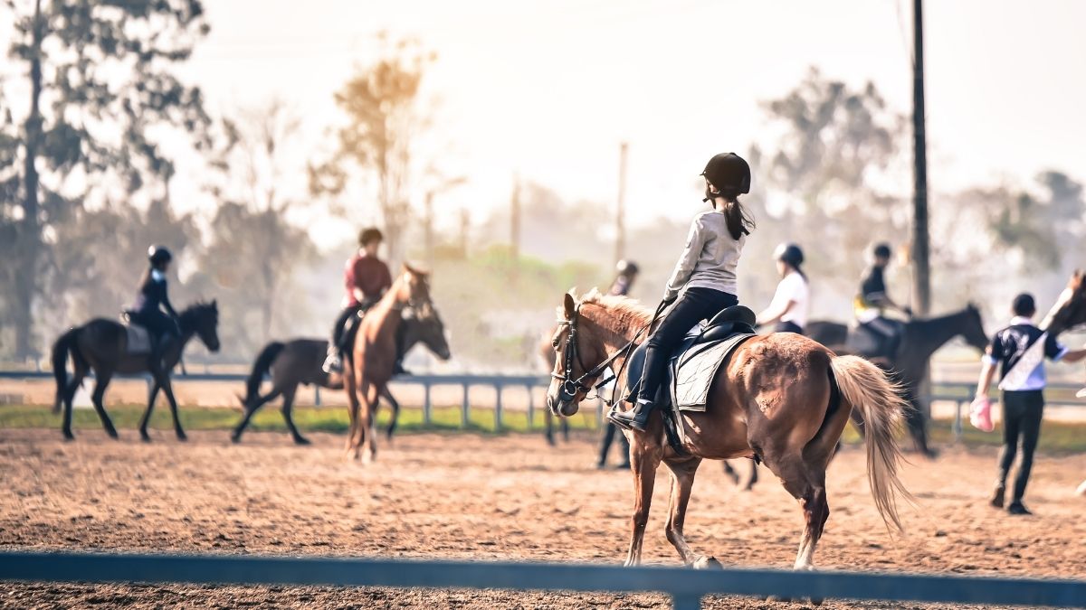 horse racing