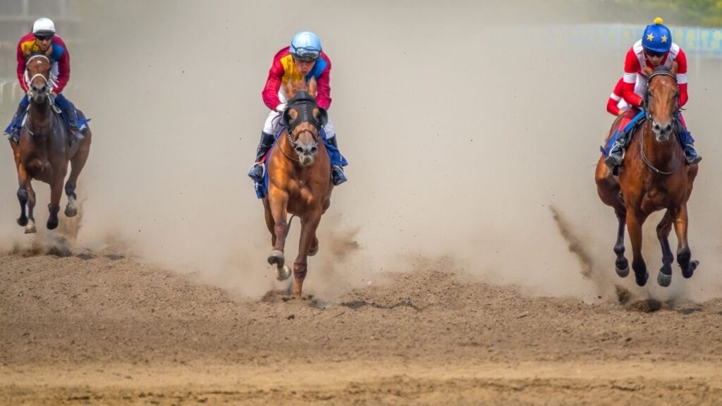 horse racing 