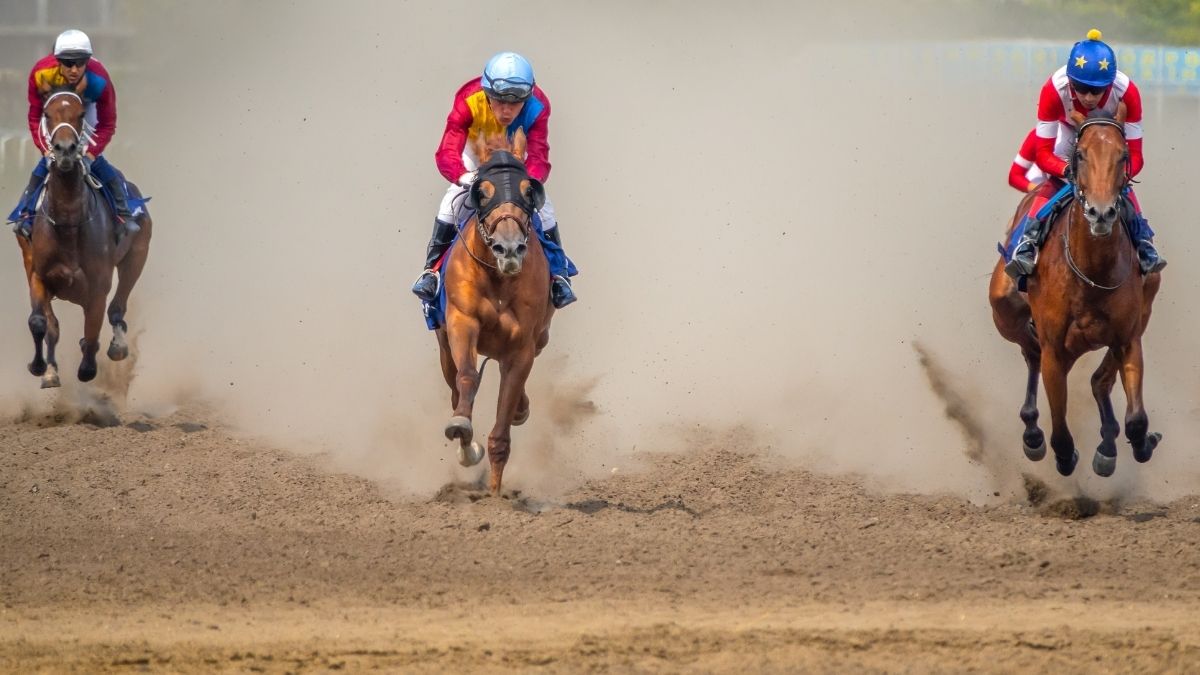 horse racing