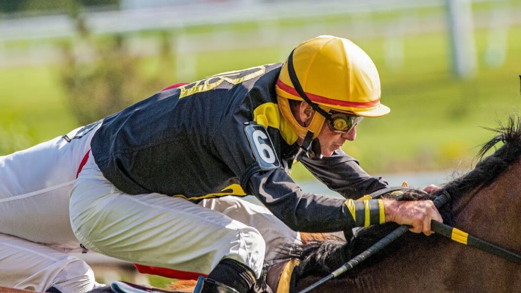 horse racing 