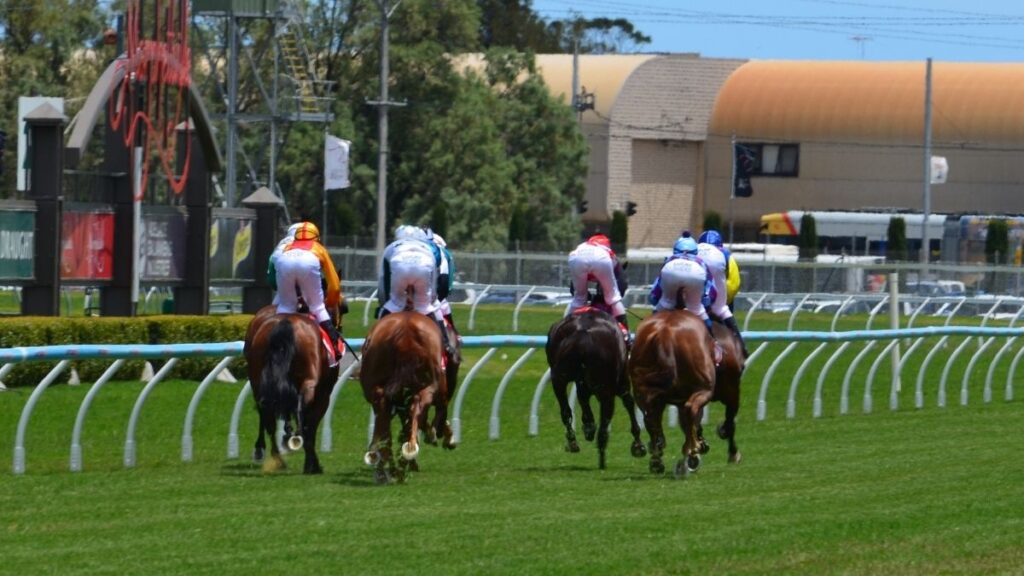 horse racing 