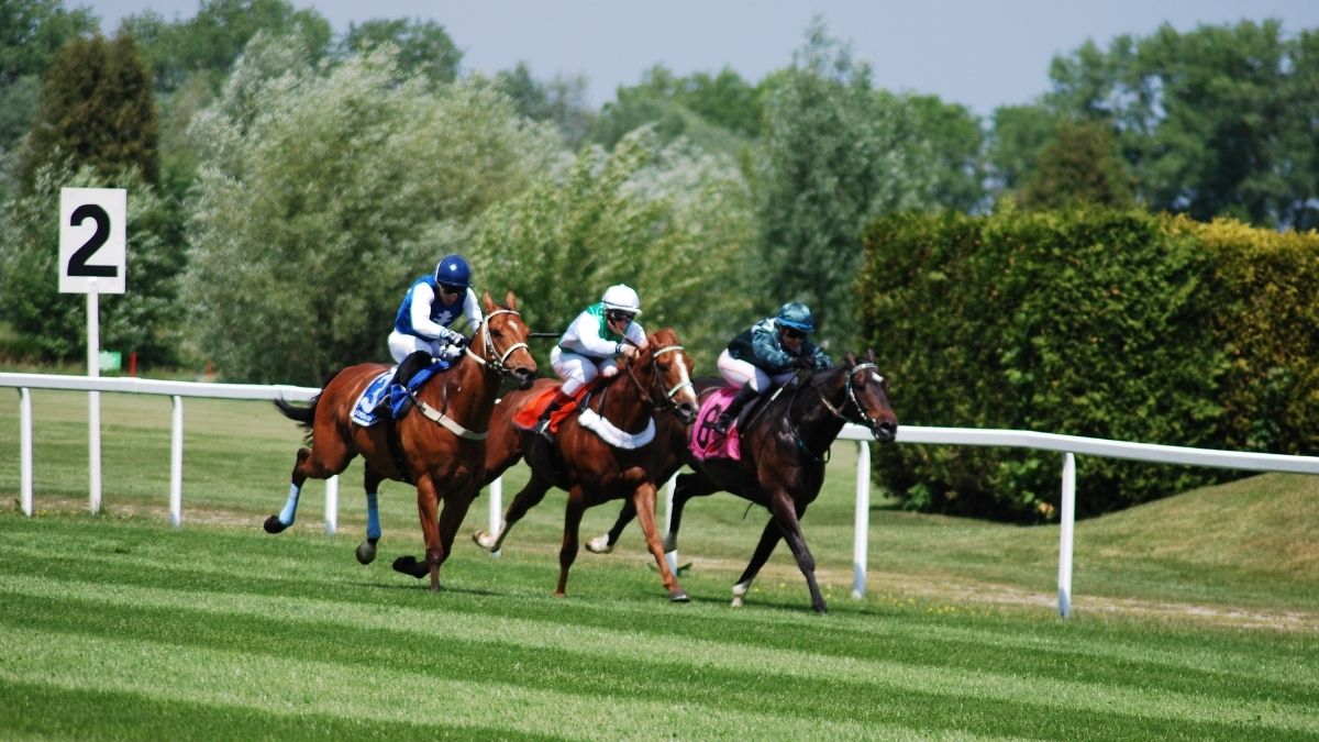 horse racing