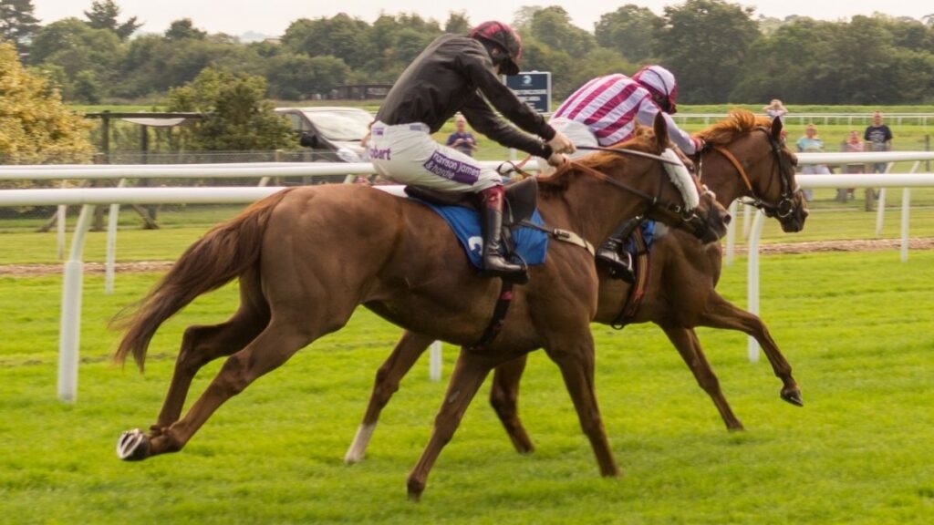 horse racing 