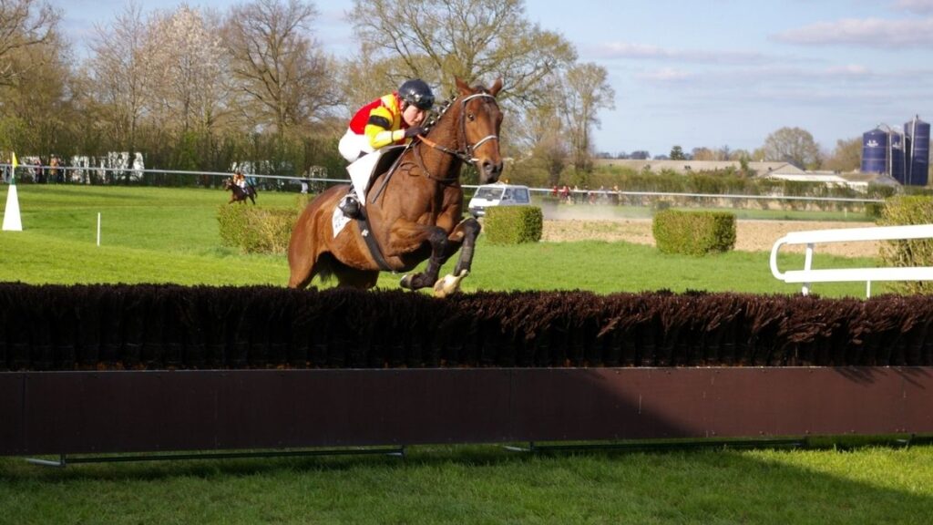 horse racing 