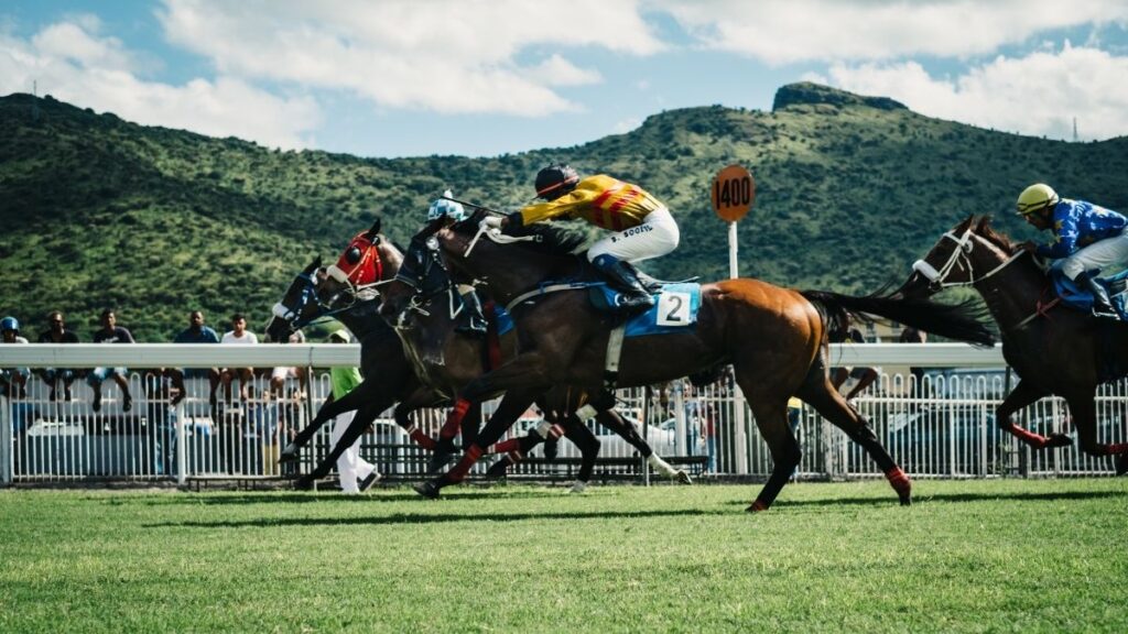 horse racing 