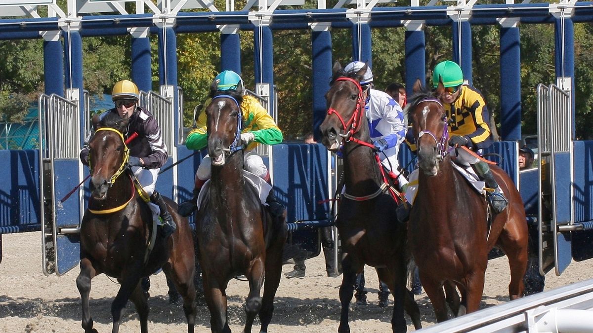 horse racing