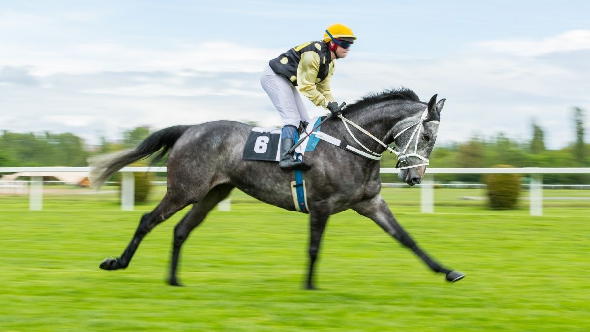 horse racing