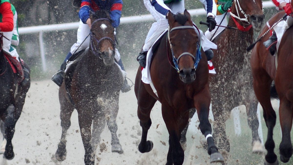 horse racing