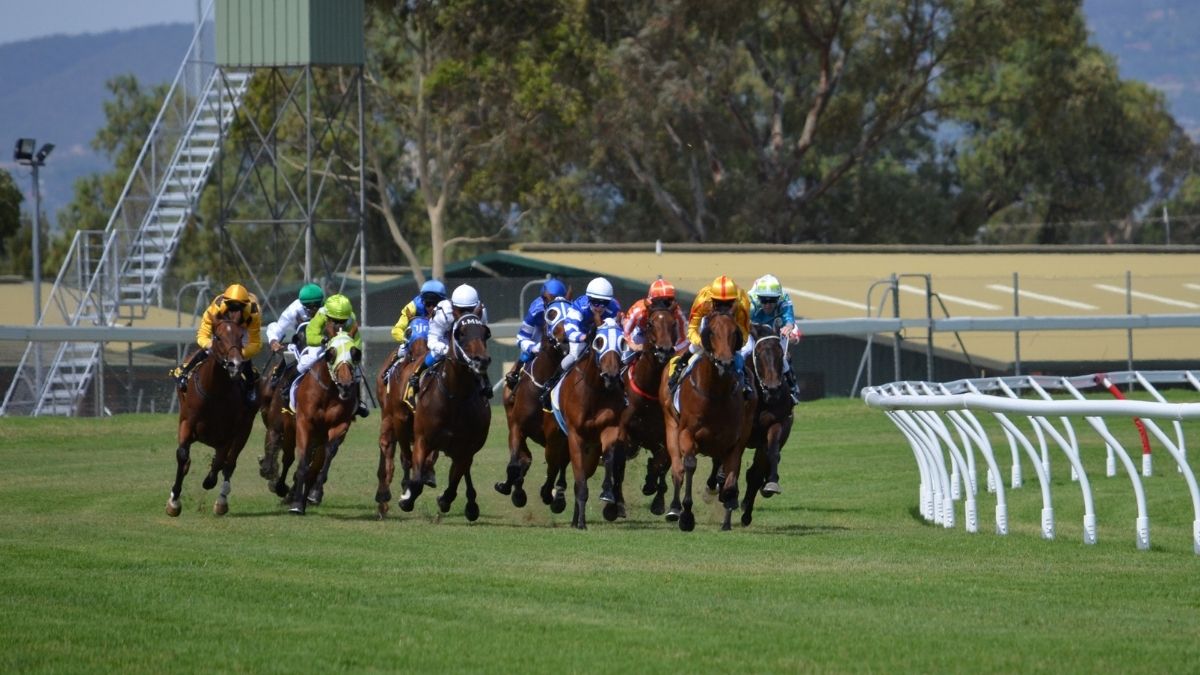 horse racing