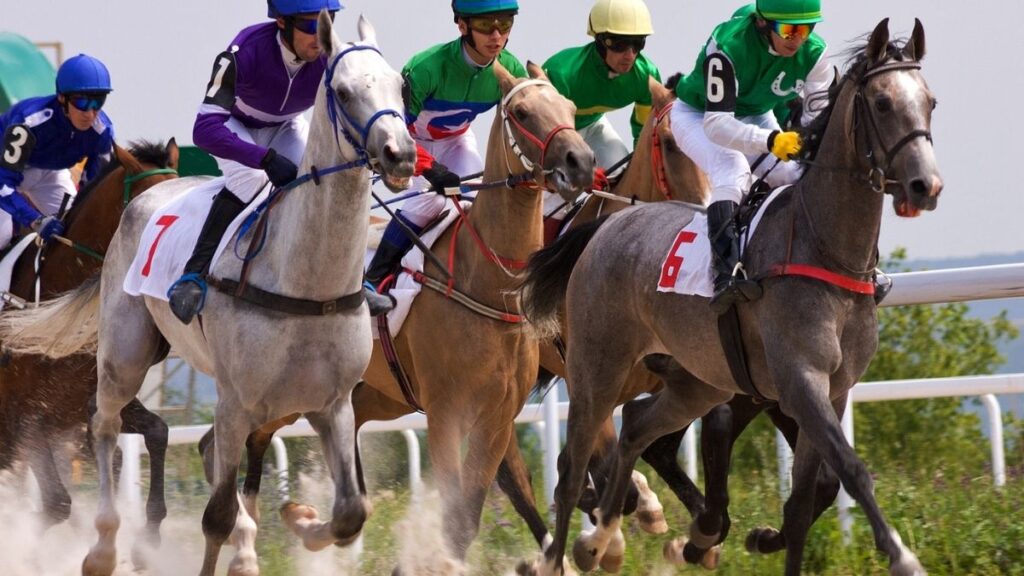 horse racing 