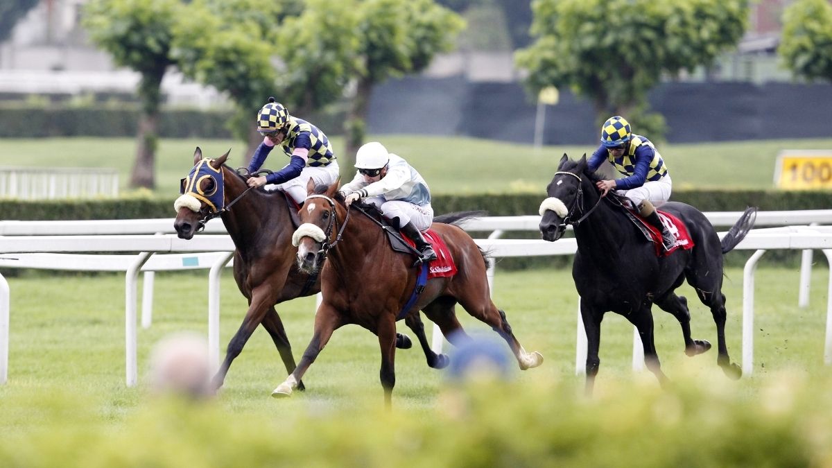 horse racing
