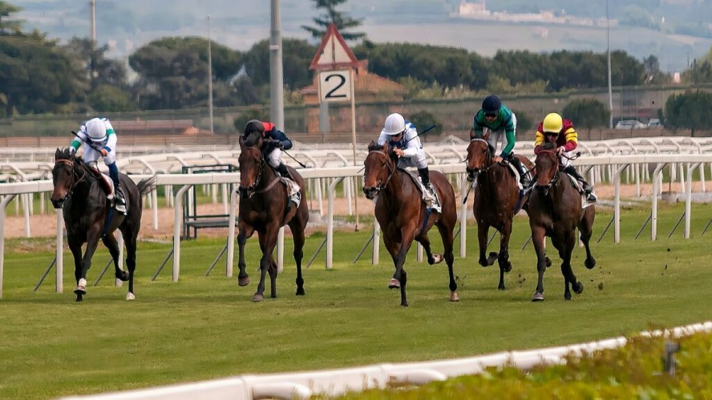 horse racing 